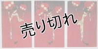 京都さくら井屋　小林かいち　絵葉書　舞妓3枚セット