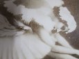 画像2: アンナ・パヴロワ　『瀕死の白鳥』　絵葉書 (2)