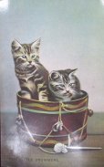 画像1: 昔の絵葉書　二匹の猫 (1)