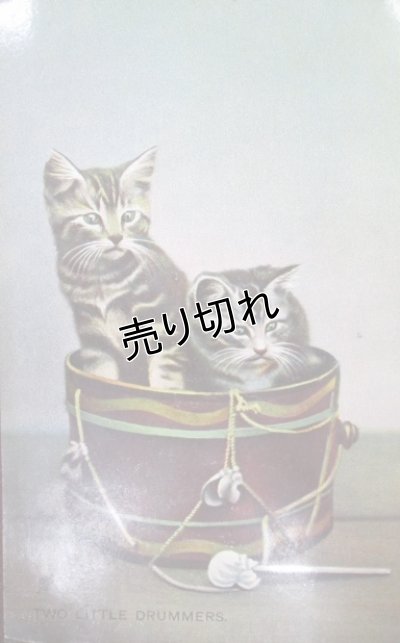 画像1: 昔の絵葉書　二匹の猫