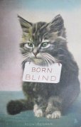 画像1: 昔の絵葉書　猫　BORN BLIND (1)