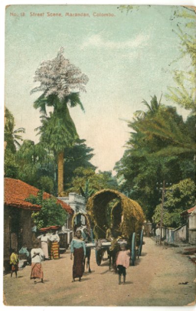 画像1: 絵葉書　No.13 Street Scene, Marandan, Colombo