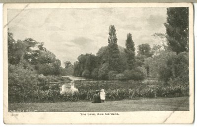 画像1: 絵葉書　The Lake, Kew Gardens.