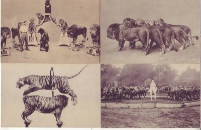 画像5: 絵葉書　6枚入　カール・ハーゲンベック　大サーカス絵葉書　第一集