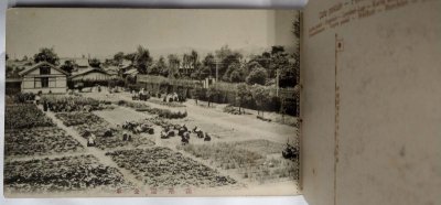 画像12: 絵葉書12枚綴り　岡山県立津山高等女学校