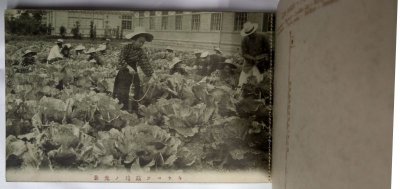 画像13: 絵葉書12枚綴り　岡山県立津山高等女学校