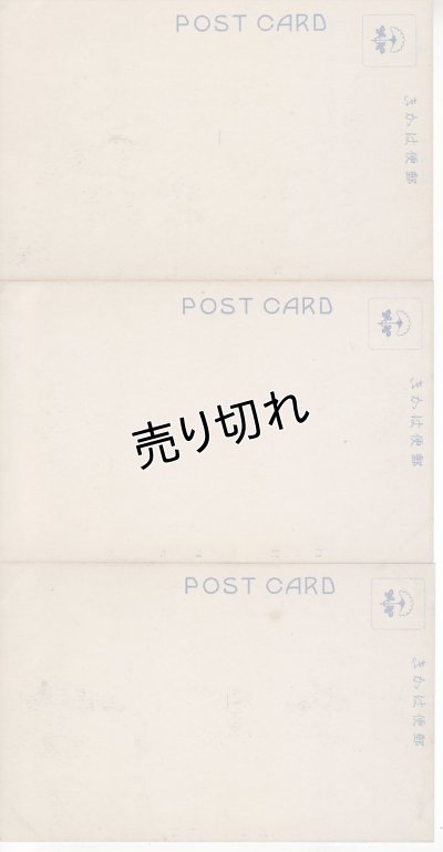 画像4: 絵葉書6枚入り　大谷派別院(名古屋東別院)御遠忌実況　大正11年4月