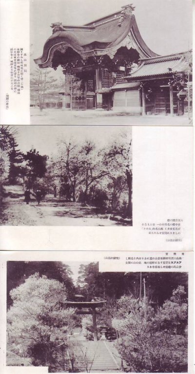 画像6: 絵葉書10枚入り　アルプスを一望に収む飛騨の高山