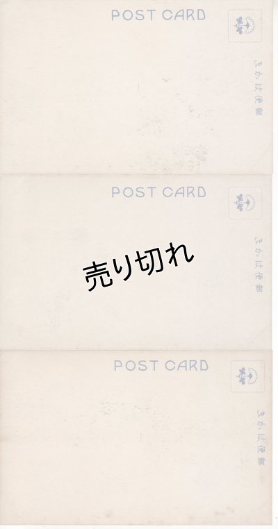 画像6: 絵葉書6枚入り　大谷派別院(名古屋東別院)御遠忌実況　大正11年4月