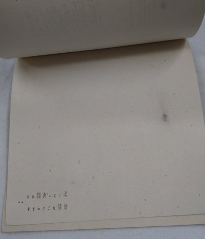 画像3: 佐藤漾子 便箋 「海原-強く明るい海国少女-」 ベニバラ社