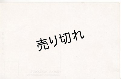 画像2: 絵葉書:航空母艦 赤城