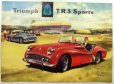画像1: トライアンフ/TRIUMPH T.R.3 Sports 1960年代4つ折りカタログ【英語】 (1)