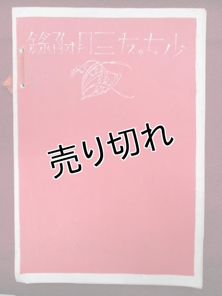 画像7: 中原淳一画　手芸の本　『少女の友』付録 (7)