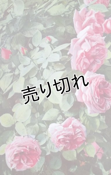 画像1: 昔の絵葉書　薔薇 D (1)