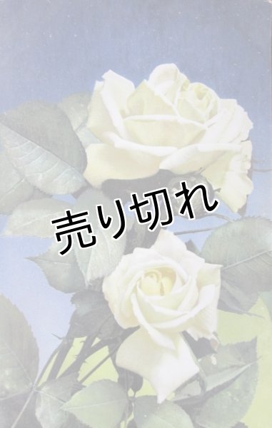 画像1: 昔の絵葉書　薔薇 C (1)