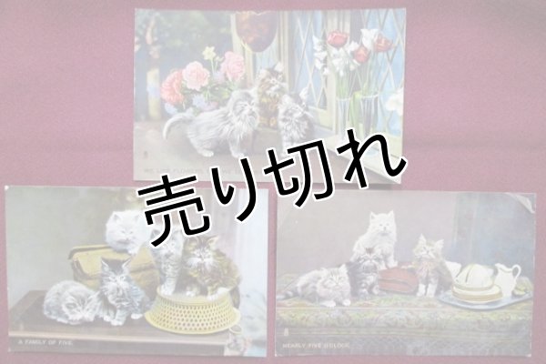 画像1: 昔の絵葉書　猫たち (1)