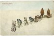 画像1: 絵葉書　Alaska Dog Team. (1)