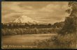 画像1: 絵葉書　1437- Mt.Rainier, Washington (1)