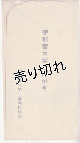 画像1: 宇都宮大学絵はがき　絵葉書5枚入　 (1)