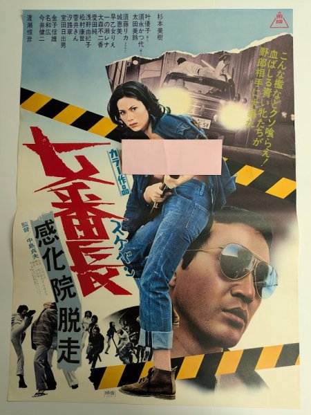 画像1: 女番長 (スケバン) 感化院脱走　映画ポスター　杉本美樹　渡瀬恒彦　1973　Size:B2　Movie poster "Girl Boss: Escape from Reform School" Miki Sugimoto (1)