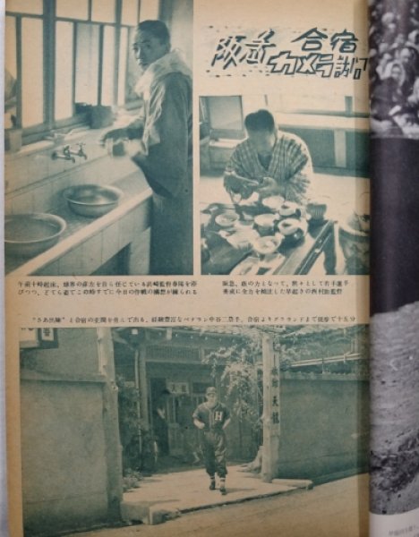 画像4: ベースボールマガジン　昭和28年6月1日発行(第8巻第8号) (4)